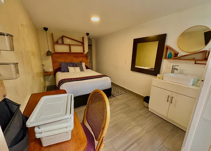 Maison d'hôtes Coyoacan