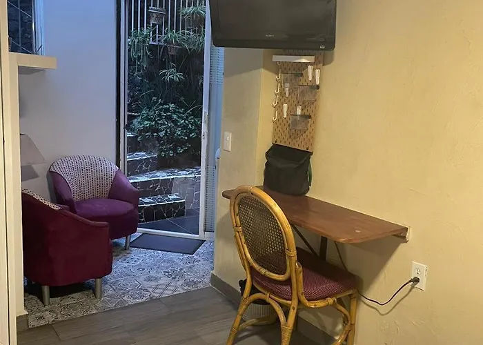 Coyoacan Pensión 4*